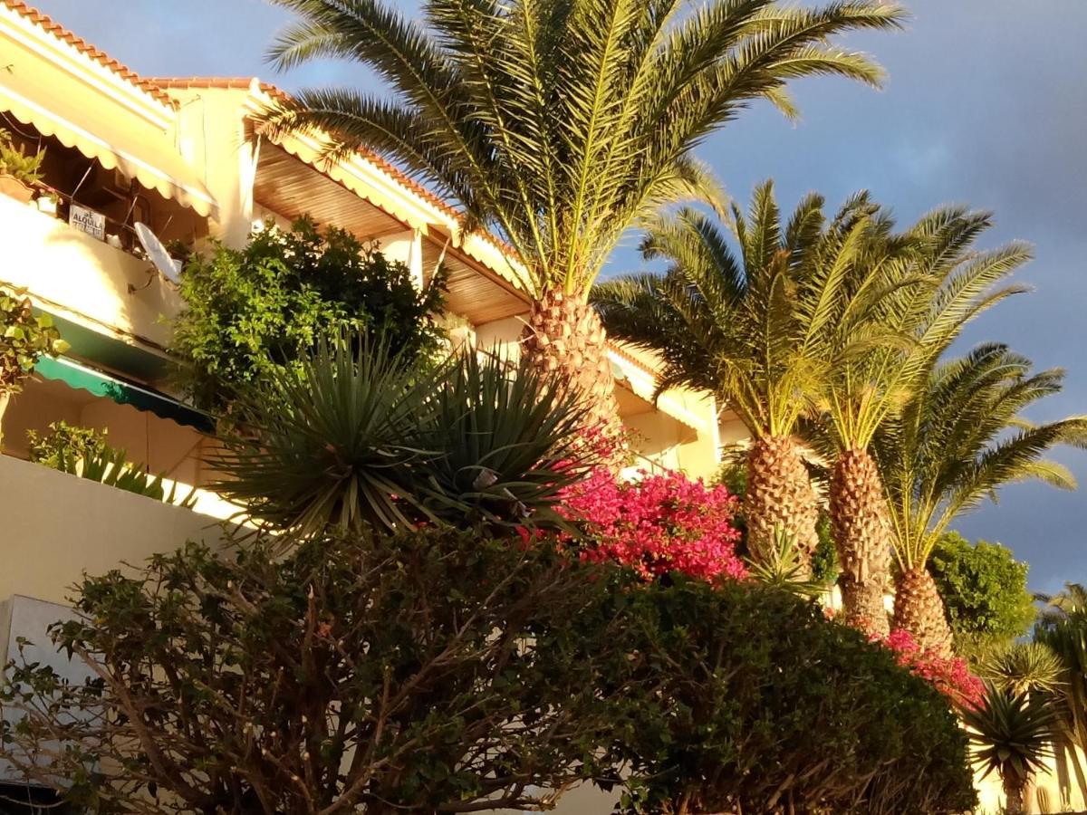 Paradis Morro Jable Exterior foto