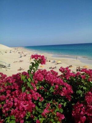 Paradis Morro Jable Exterior foto